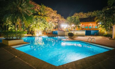 King Room Papagayo Golden Palms