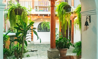 Dos Pilas Casa Centrica